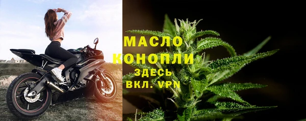 сатива Алзамай