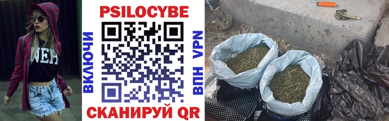 Галлюциногенные грибы мицелий  Псков 