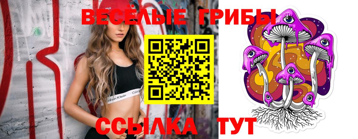 Псилоцибиновые грибы мицелий  Вход с VPN  Псков 