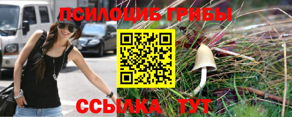 Галлюциногенные грибы Cubensis Псков